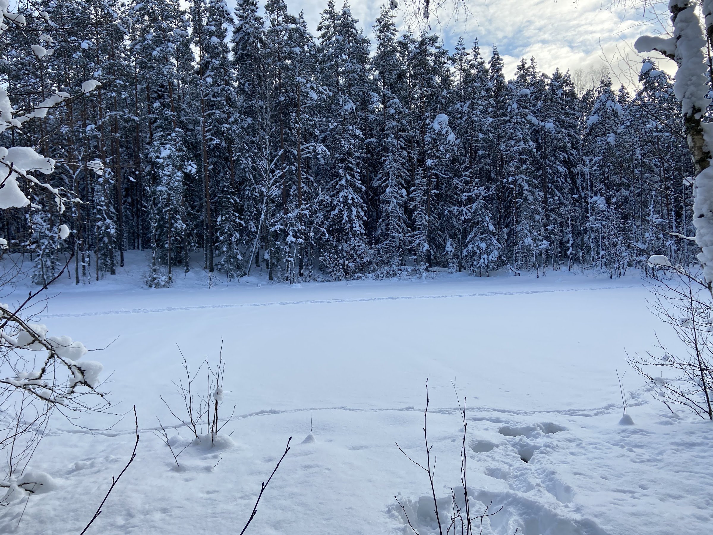 RMK Järvi Pikkjärve telkimisala